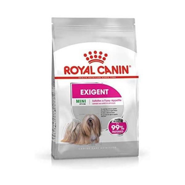 Royal Canin Exigent Mini 1kg - Crocchette per Cani Royal Canin Exigent Mini 1kg - Crocchette per Cani